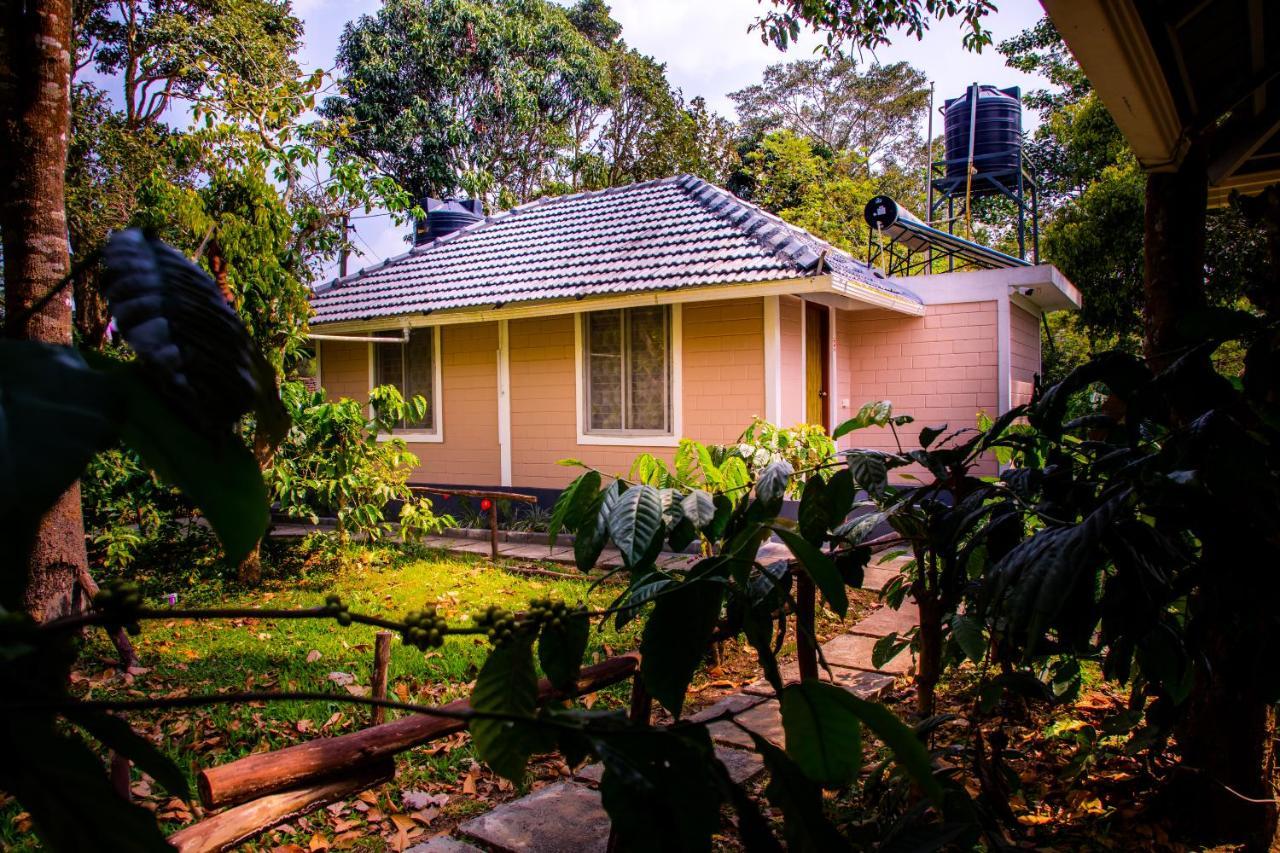 The Creek Coorg Apartment Ponnampet Exterior photo